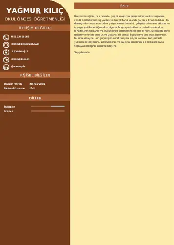 Okul Öncesi Öğretmeni Öğretmenliği Cv Örnekleri cv indir